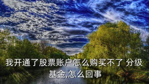 我開通了股票賬戶怎么購買不了 分級 基金,怎么回事