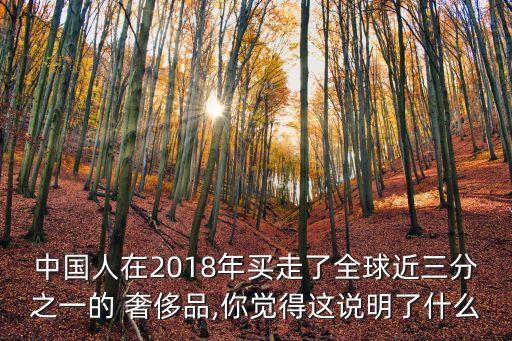 中國(guó)人在2018年買走了全球近三分之一的 奢侈品,你覺得這說明了什么