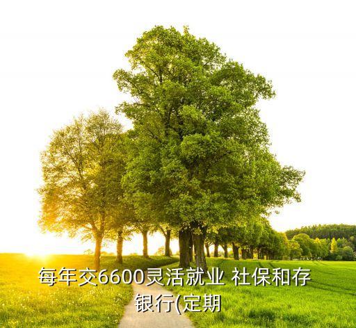 每年交6600靈活就業(yè) 社保和存 銀行(定期