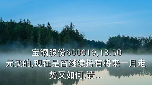  寶鋼股份600019,13.50元買的,現(xiàn)在是否繼續(xù)持有將來一月走勢又如何,請...