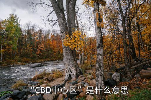 上海自貿(mào)區(qū)cbd