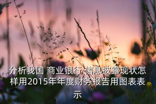 分析我國(guó) 商業(yè)銀行 信息披露現(xiàn)狀怎樣用2015年年度財(cái)務(wù)報(bào)告用圖表表示