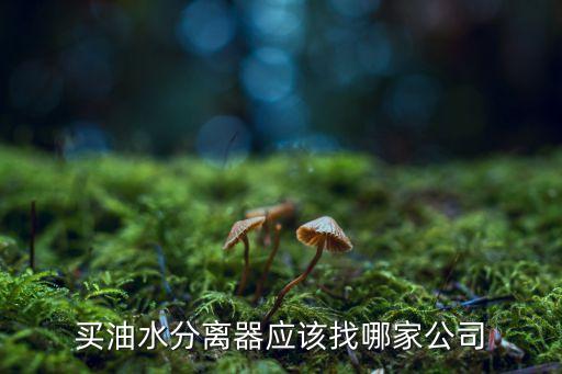 買(mǎi)油水分離器應(yīng)該找哪家公司