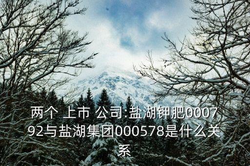 兩個 上市 公司:鹽湖鉀肥000792與鹽湖集團000578是什么關系