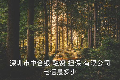 深圳市中合銀 融資 擔保 有限公司電話是多少