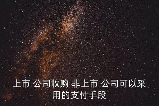 上市 公司收購 非上市 公司可以采用的支付手段