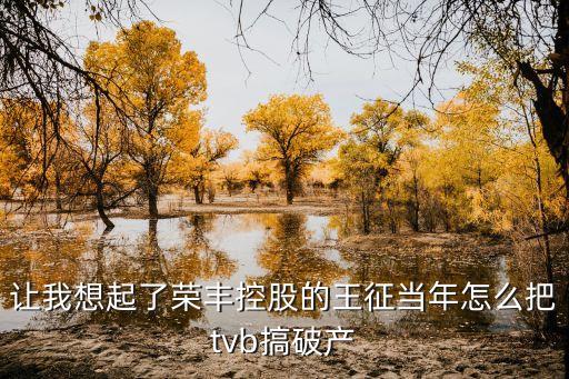 讓我想起了榮豐控股的王征當(dāng)年怎么把tvb搞破產(chǎn)