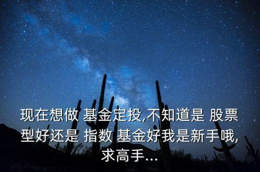 現(xiàn)在想做 基金定投,不知道是 股票型好還是 指數(shù) 基金好我是新手哦,求高手...