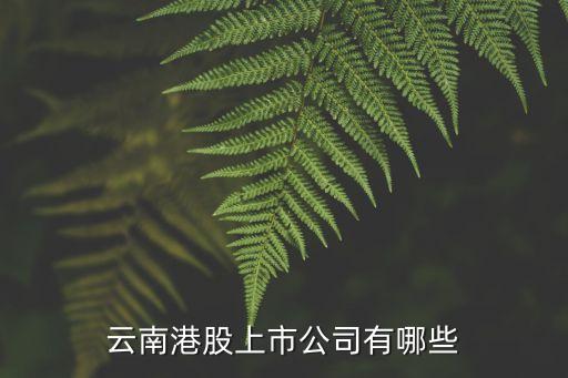 云南港股上市公司有哪些