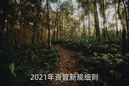 2021年資管新規(guī)細(xì)則