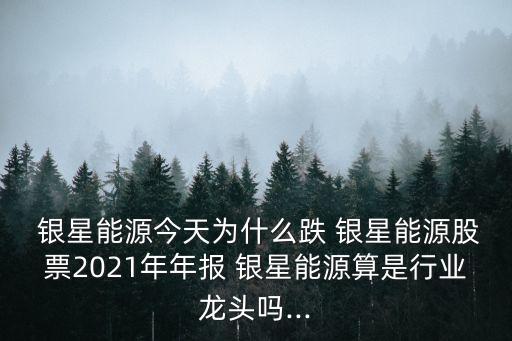  銀星能源今天為什么跌 銀星能源股票2021年年報 銀星能源算是行業(yè)龍頭嗎...