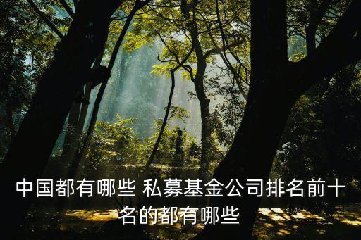 中國最大的私募,私募排行榜前十名