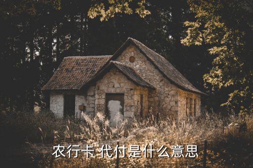 農(nóng)行卡 代付是什么意思