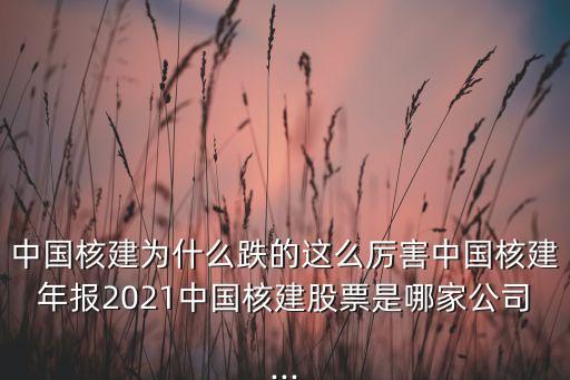 中國(guó)核建為什么跌的這么厲害中國(guó)核建年報(bào)2021中國(guó)核建股票是哪家公司...