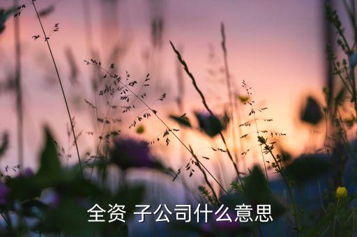  全資 子公司什么意思