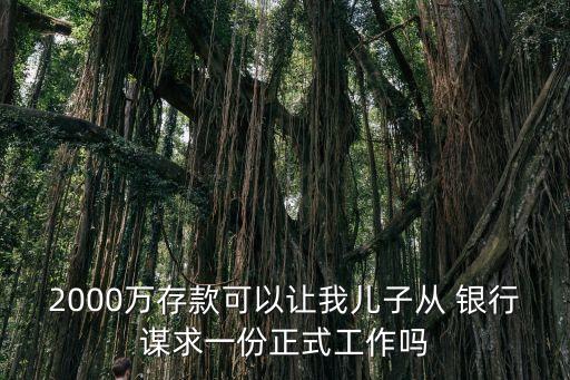 2000萬存款可以讓我兒子從 銀行謀求一份正式工作嗎