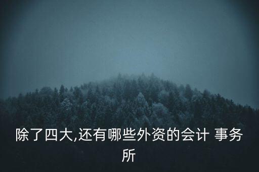 香港立信德豪會(huì)計(jì)師事務(wù)所有限公司