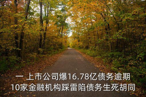 一 上市公司爆16.78億債務(wù)逾期10家金融機(jī)構(gòu)踩雷陷債務(wù)生死胡同