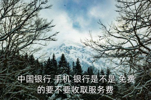  中國(guó)銀行 手機(jī) 銀行是不是 免費(fèi)的要不要收取服務(wù)費(fèi)