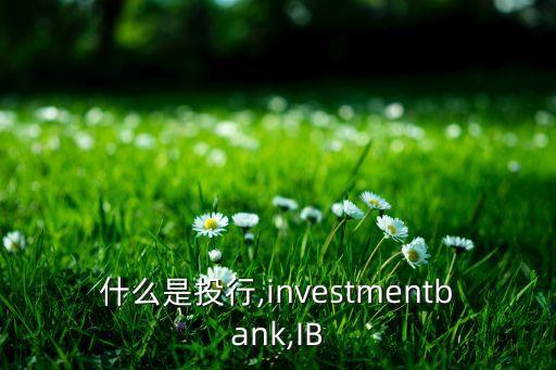 什么是投行,investmentbank,IB