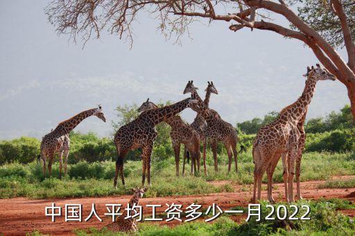 中國人平均工資多少一月2022