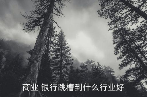 商業(yè) 銀行跳槽到什么行業(yè)好