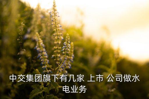 中交集團旗下有幾家 上市 公司做水電業(yè)務(wù)