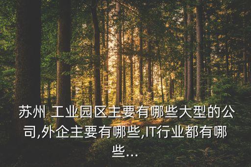  蘇州 工業(yè)園區(qū)主要有哪些大型的公司,外企主要有哪些,IT行業(yè)都有哪些...