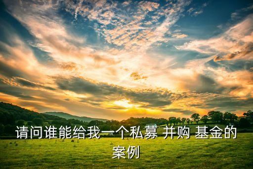 請(qǐng)問(wèn)誰(shuí)能給我一個(gè)私募 并購(gòu) 基金的案例