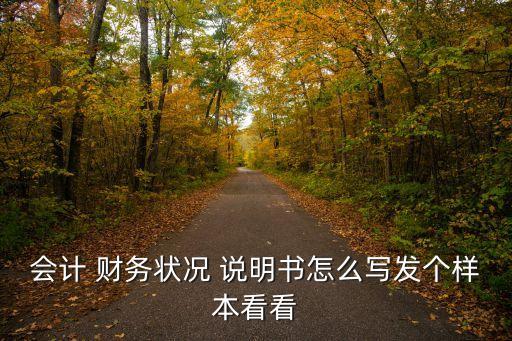 會(huì)計(jì) 財(cái)務(wù)狀況 說明書怎么寫發(fā)個(gè)樣本看看