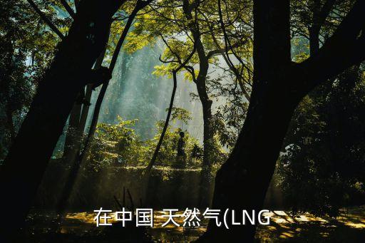 在中國 天然氣(LNG