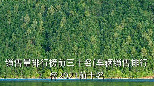 銷售量排行榜前三十名(車輛銷售排行榜2021前十名