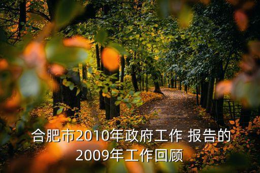  合肥市2010年政府工作 報(bào)告的2009年工作回顧