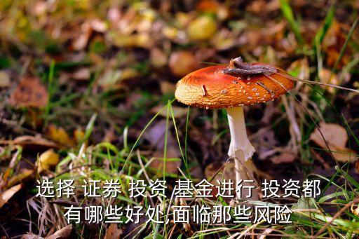 選擇 證券 投資 基金進行 投資都有哪些好處,面臨那些風險