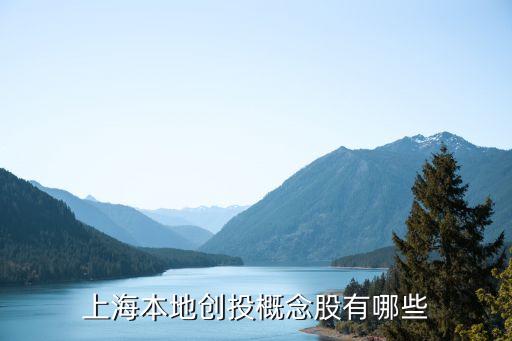 上海本地創(chuàng)投概念股有哪些