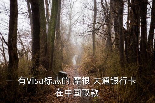 有Visa標(biāo)志的 摩根 大通銀行卡在中國(guó)取款