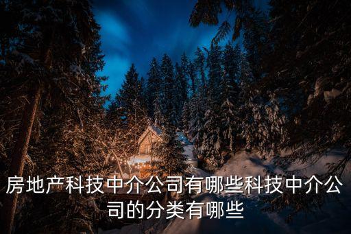 房地產(chǎn)科技中介公司有哪些科技中介公司的分類有哪些