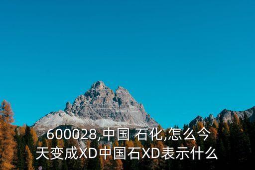 600028中國石化