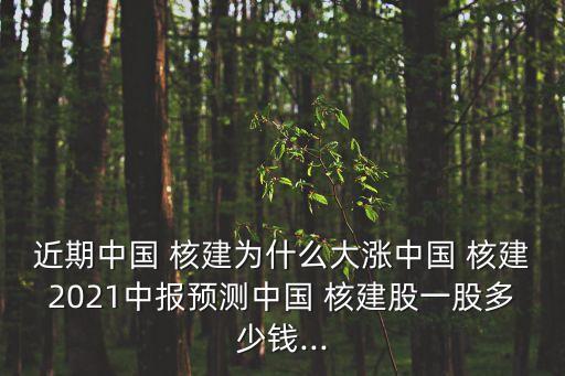 近期中國 核建為什么大漲中國 核建2021中報(bào)預(yù)測(cè)中國 核建股一股多少錢...