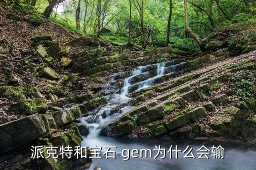 gem中國報告,GEM中國報告2020\/2021