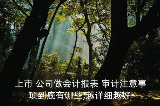  上市 公司做會(huì)計(jì)報(bào)表 審計(jì)注意事項(xiàng)到底有哪些,越詳細(xì)越好