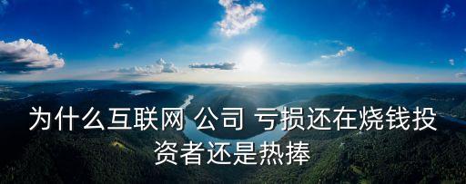 為什么互聯(lián)網(wǎng) 公司 虧損還在燒錢投資者還是熱捧