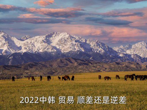 對(duì)中國貿(mào)易順差的國家,2022中國貿(mào)易順差國家排行