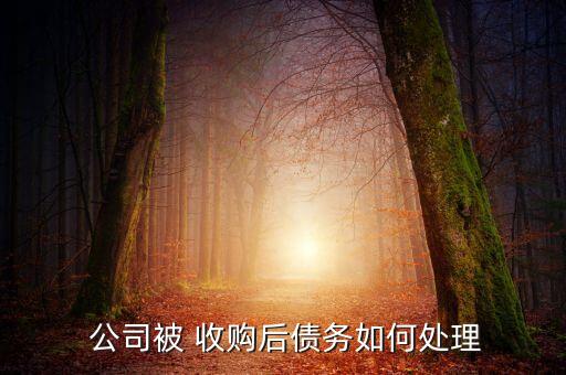  公司被 收購后債務(wù)如何處理