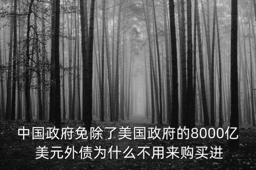 中國政府免除了美國政府的8000億 美元外債為什么不用來購買進(jìn)