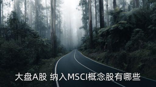 哪只股票納入msci,現(xiàn)在哪只股票比較好