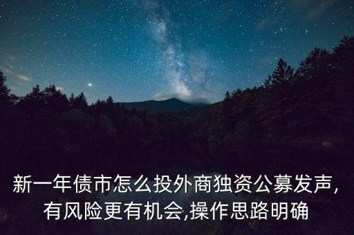 新一年債市怎么投外商獨(dú)資公募發(fā)聲,有風(fēng)險(xiǎn)更有機(jī)會(huì),操作思路明確