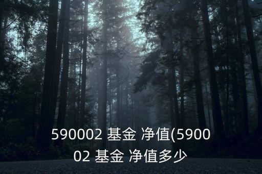 590002 基金 凈值(590002 基金 凈值多少