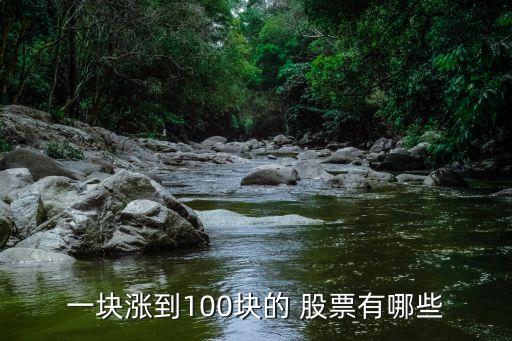 一塊漲到100塊的 股票有哪些