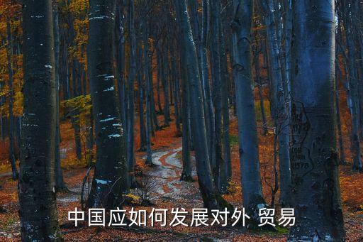 中國應如何發(fā)展對外 貿(mào)易